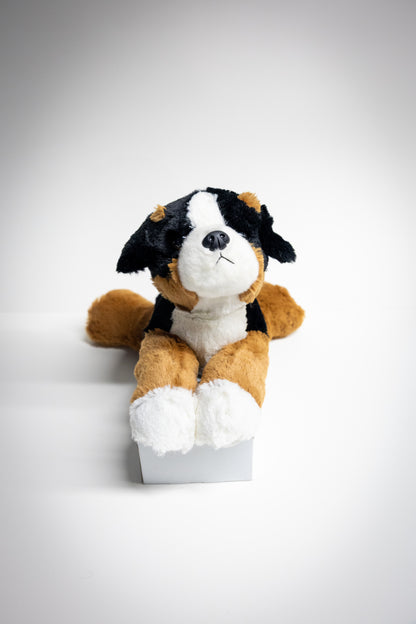 Dog & Cat Plush with Adoption Kit | Stuffed Animal Toy