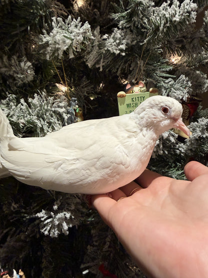 Opalite & Elizabeth Taylor