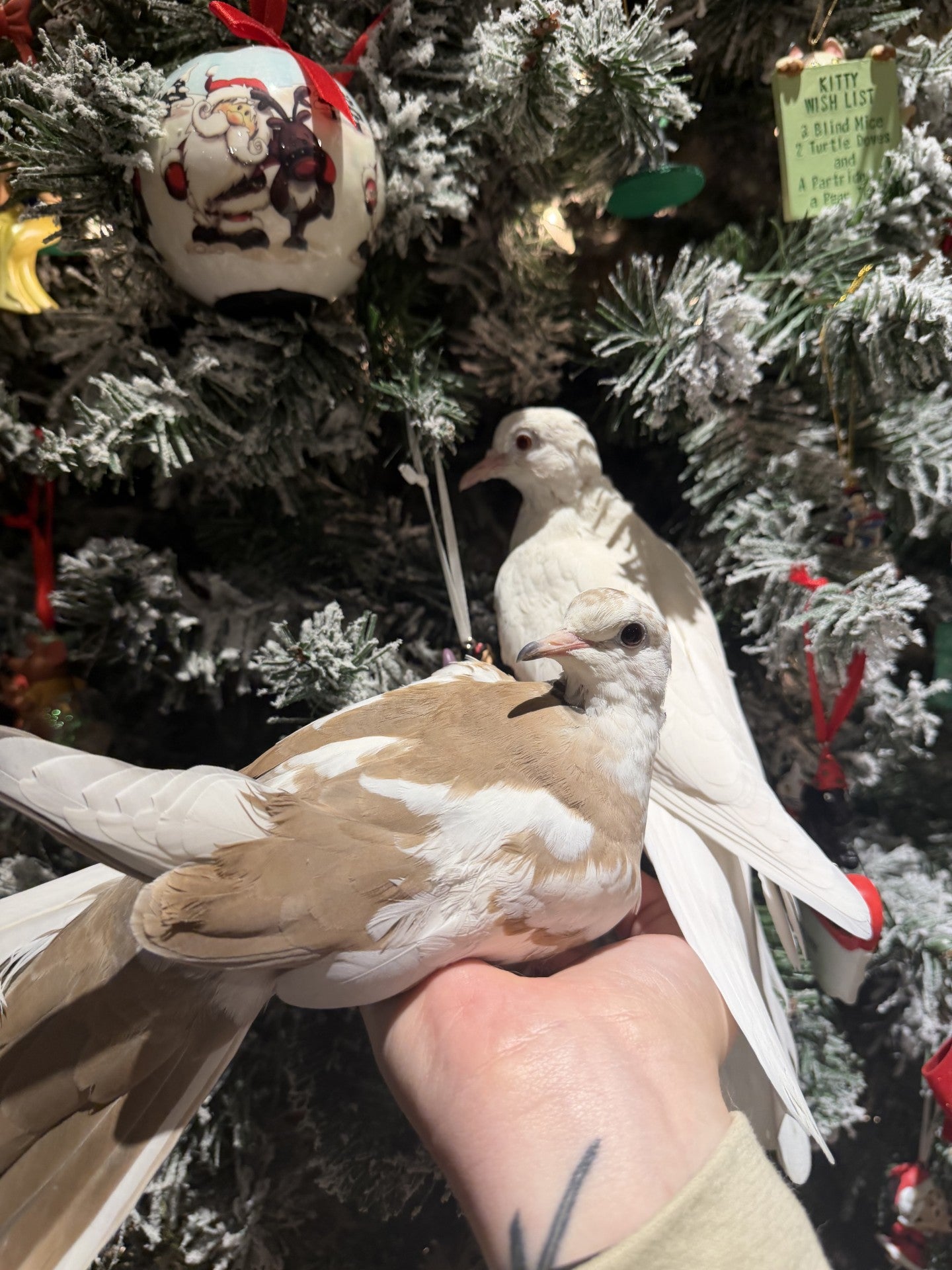 Opalite & Elizabeth Taylor