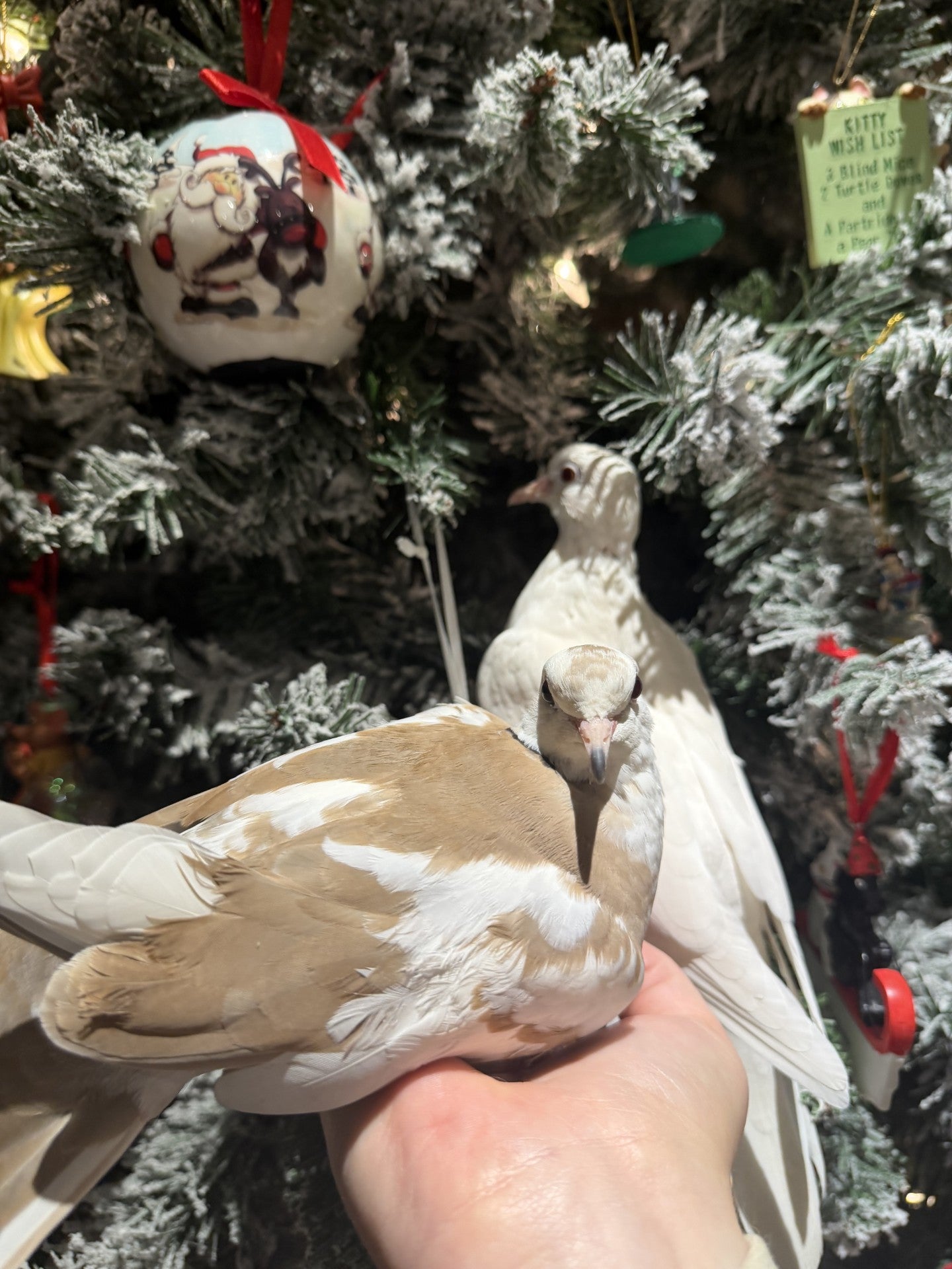 Opalite & Elizabeth Taylor