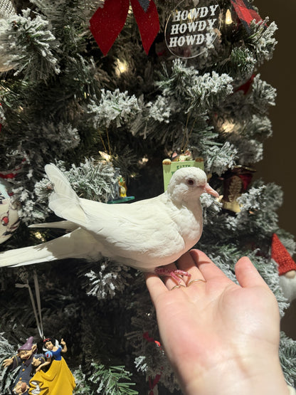 Opalite & Elizabeth Taylor