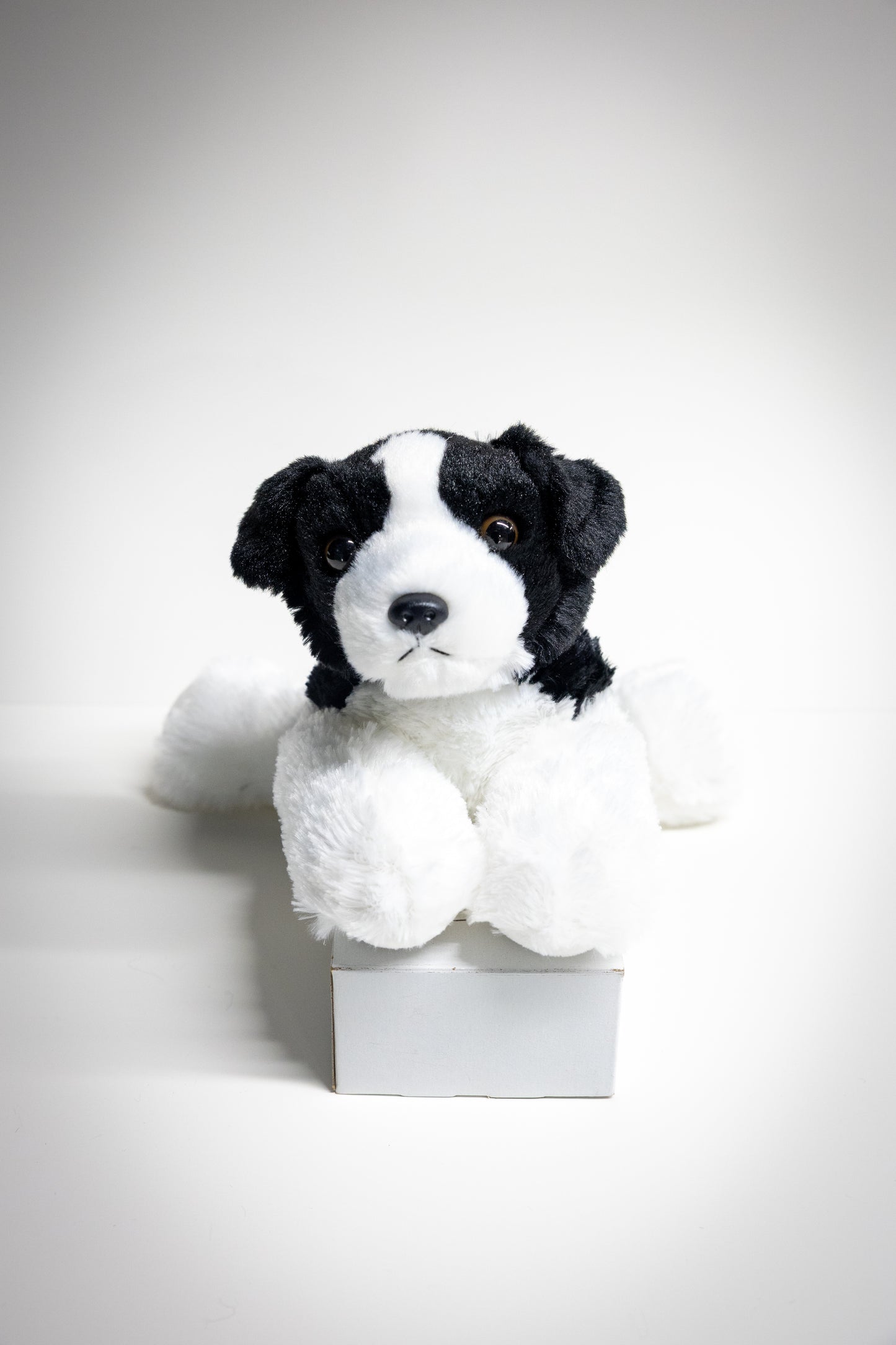 Dog & Cat Plush with Adoption Kit | Stuffed Animal Toy