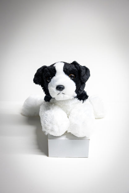 Dog & Cat Plush with Adoption Kit | Stuffed Animal Toy