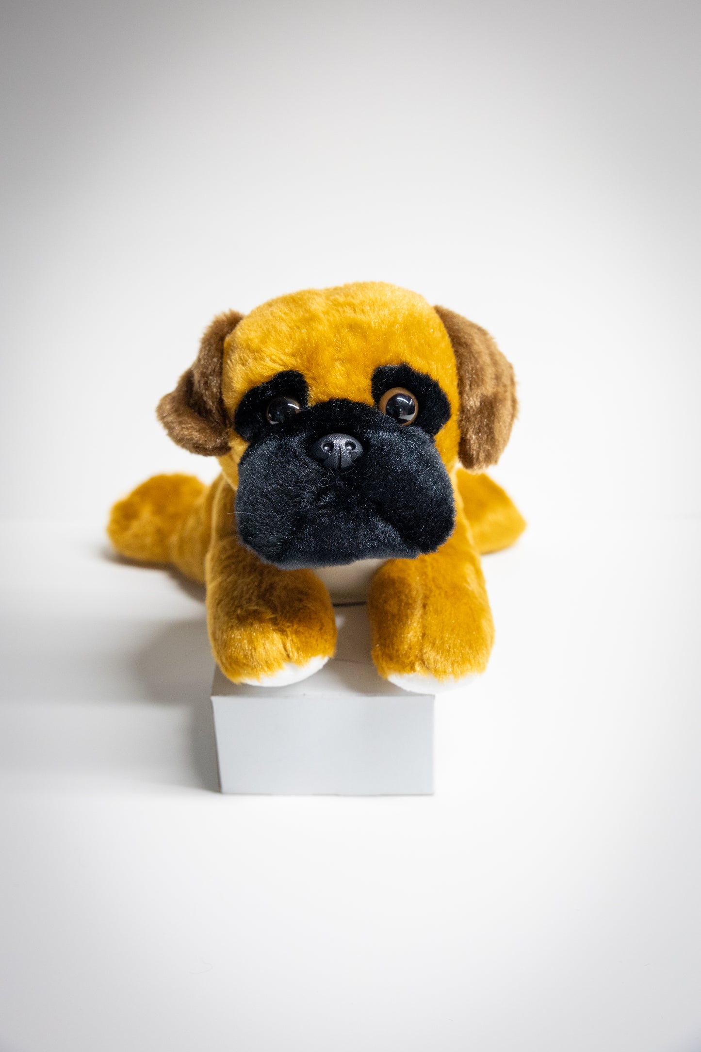 Dog & Cat Plush with Adoption Kit | Stuffed Animal Toy