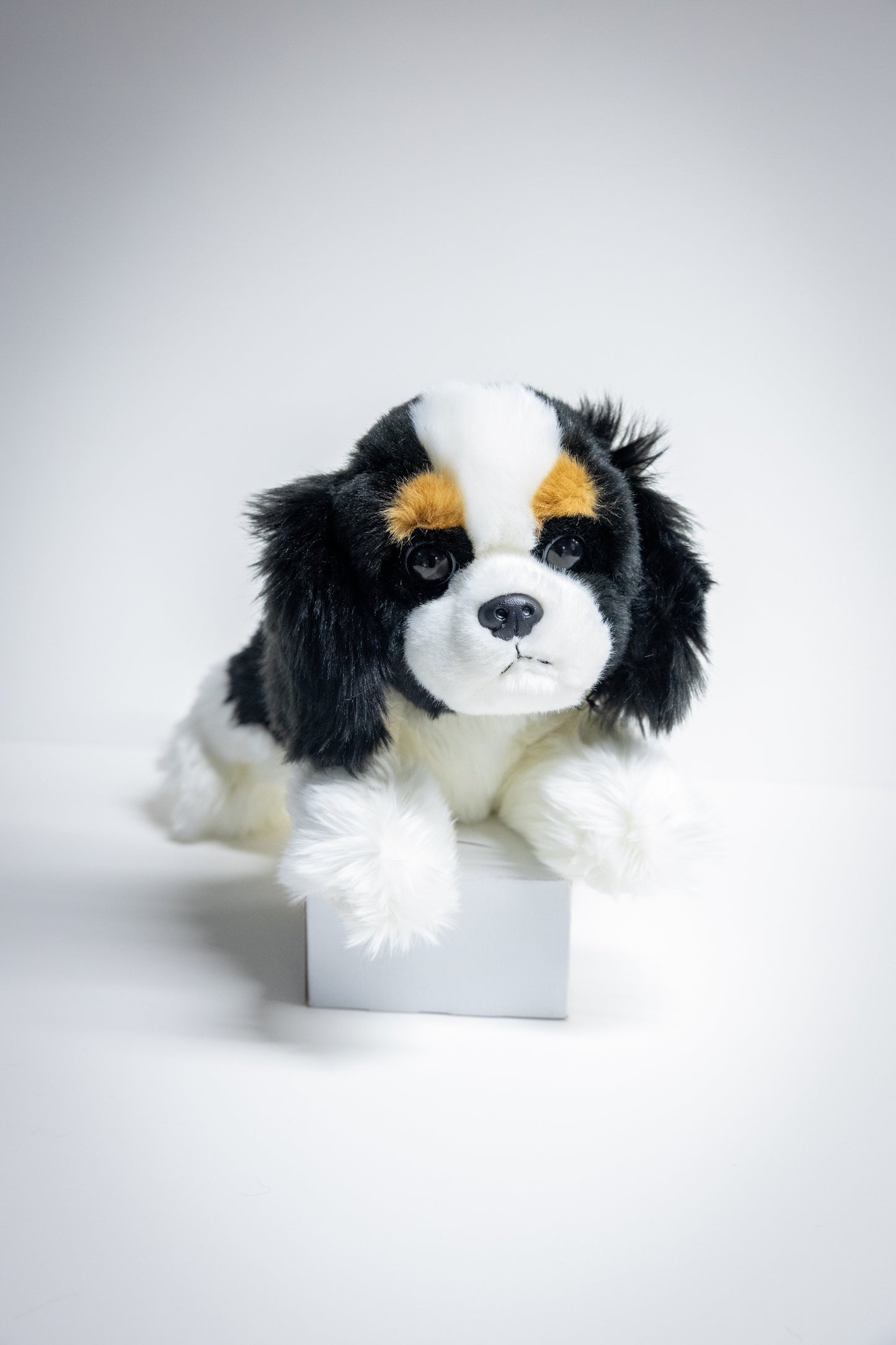 Dog & Cat Plush with Adoption Kit | Stuffed Animal Toy