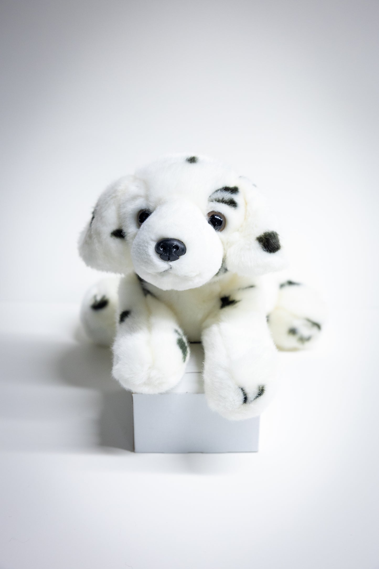 Dog & Cat Plush with Adoption Kit | Stuffed Animal Toy