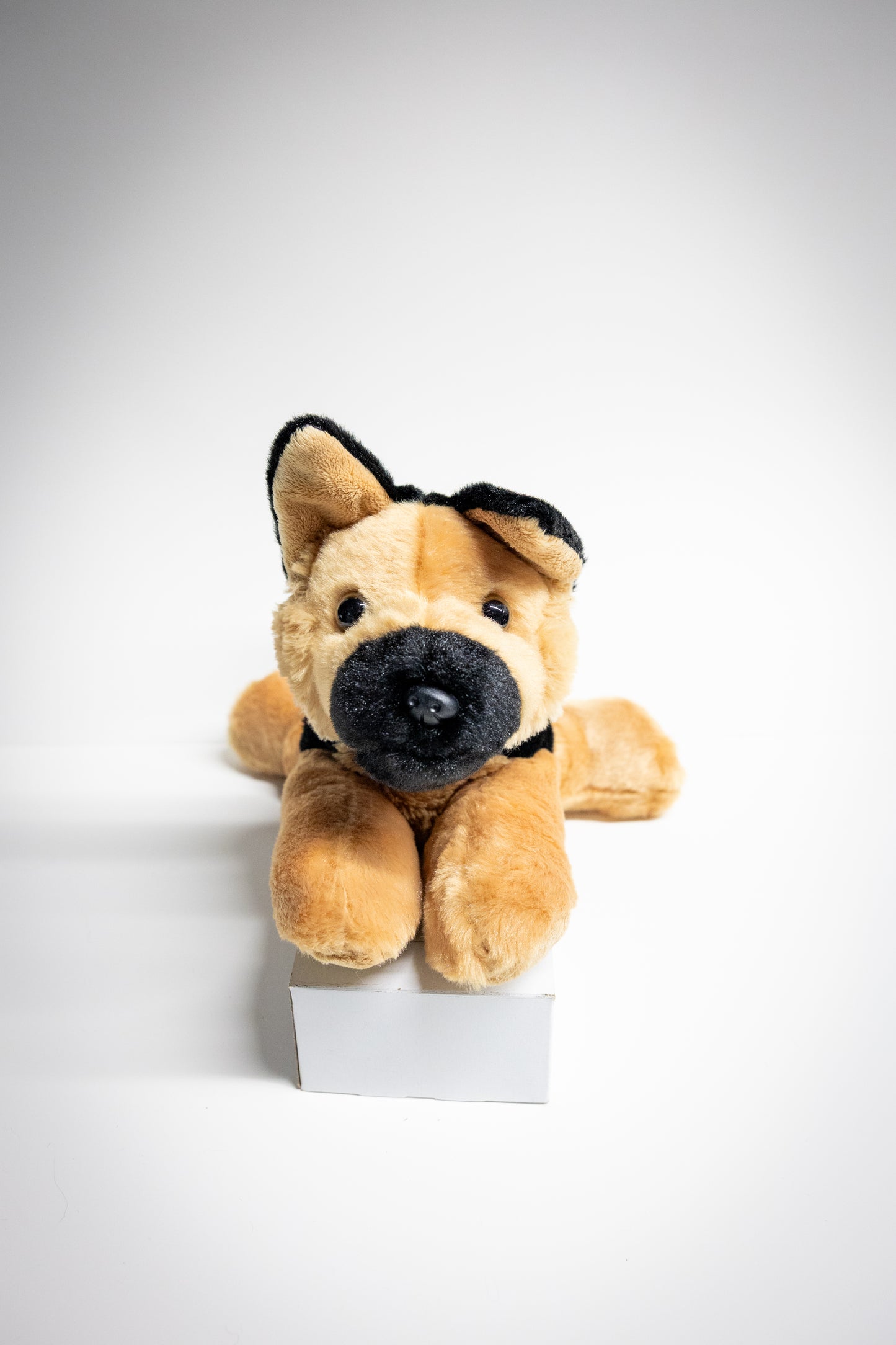 Dog & Cat Plush with Adoption Kit | Stuffed Animal Toy