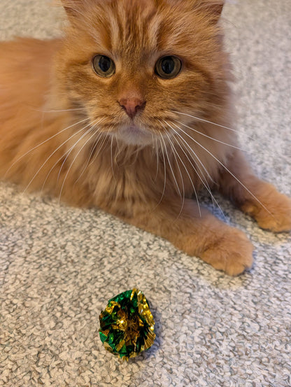Ginger
