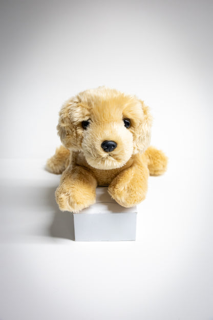 Dog & Cat Plush with Adoption Kit | Stuffed Animal Toy