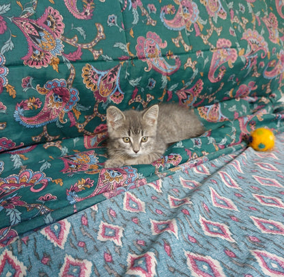 Hazel