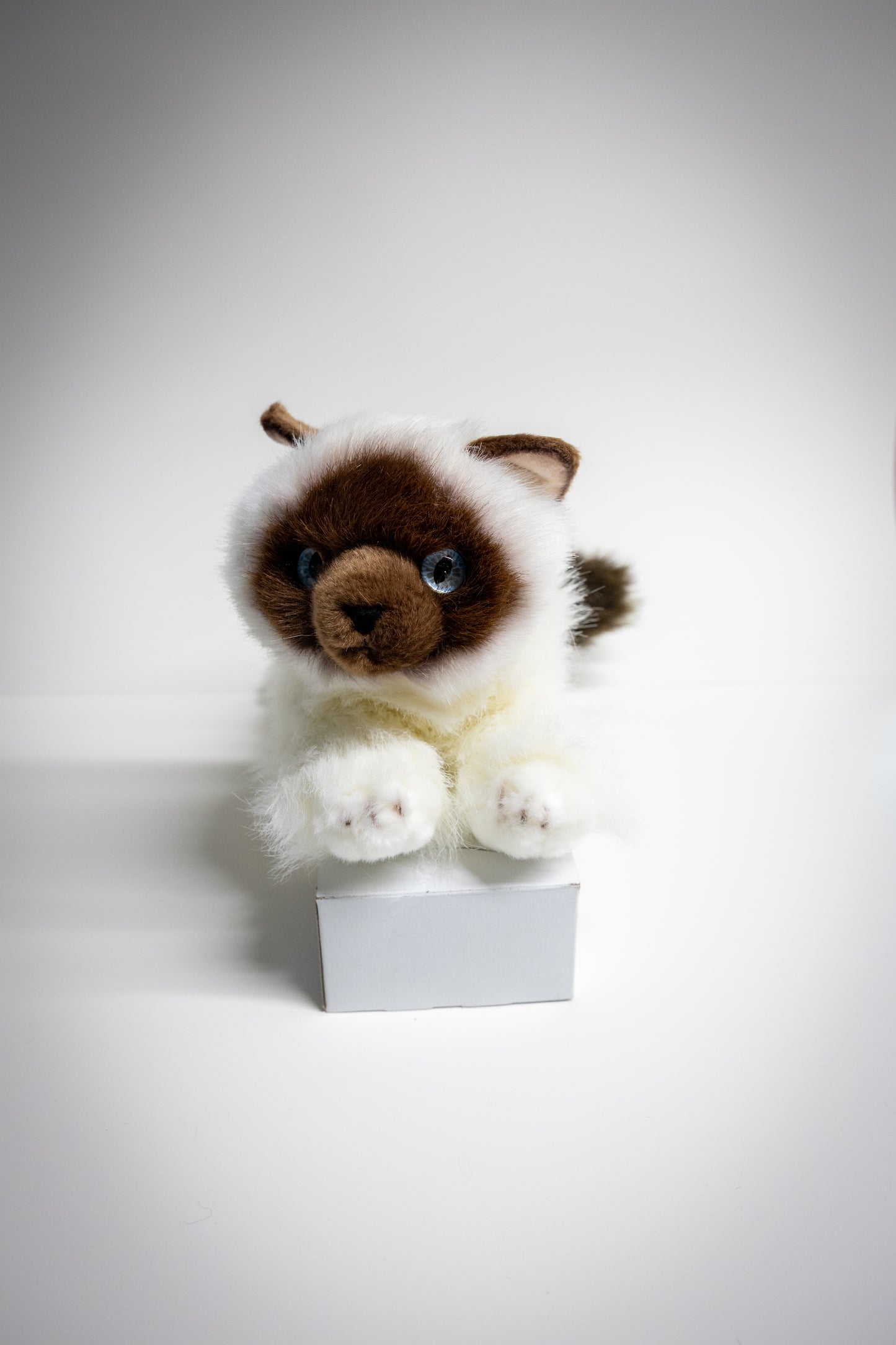 Dog & Cat Plush with Adoption Kit | Stuffed Animal Toy