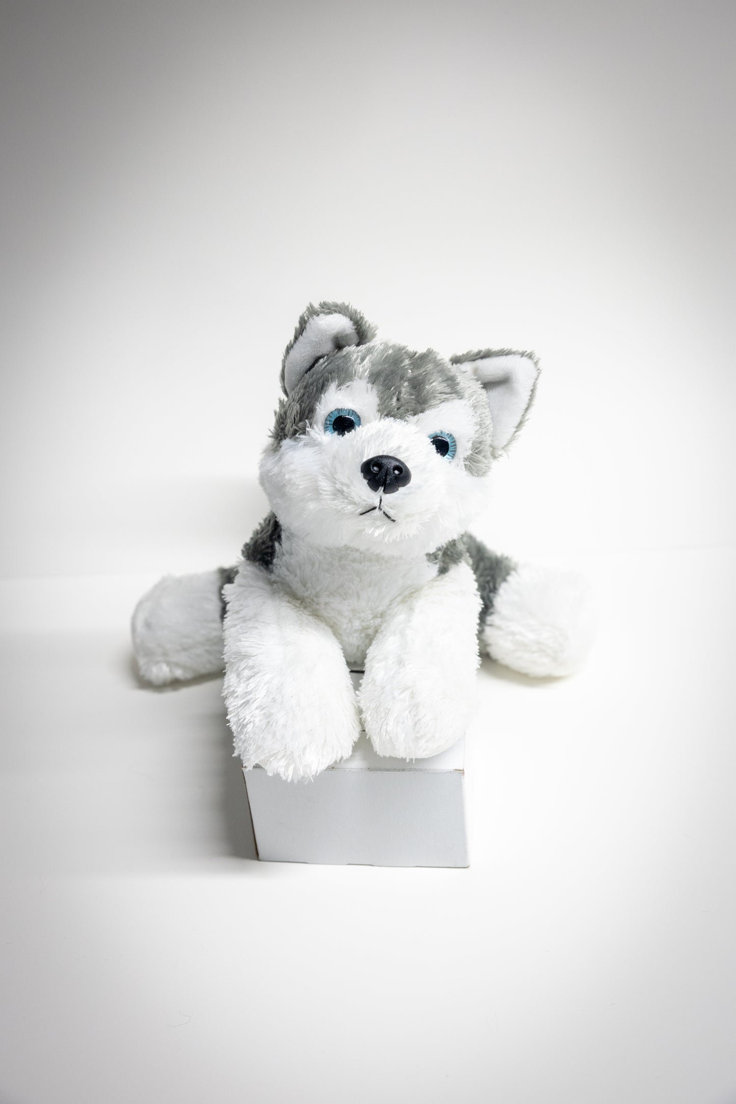 Dog & Cat Plush with Adoption Kit | Stuffed Animal Toy