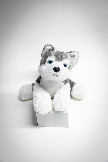 Dog & Cat Plush with Adoption Kit | Stuffed Animal Toy