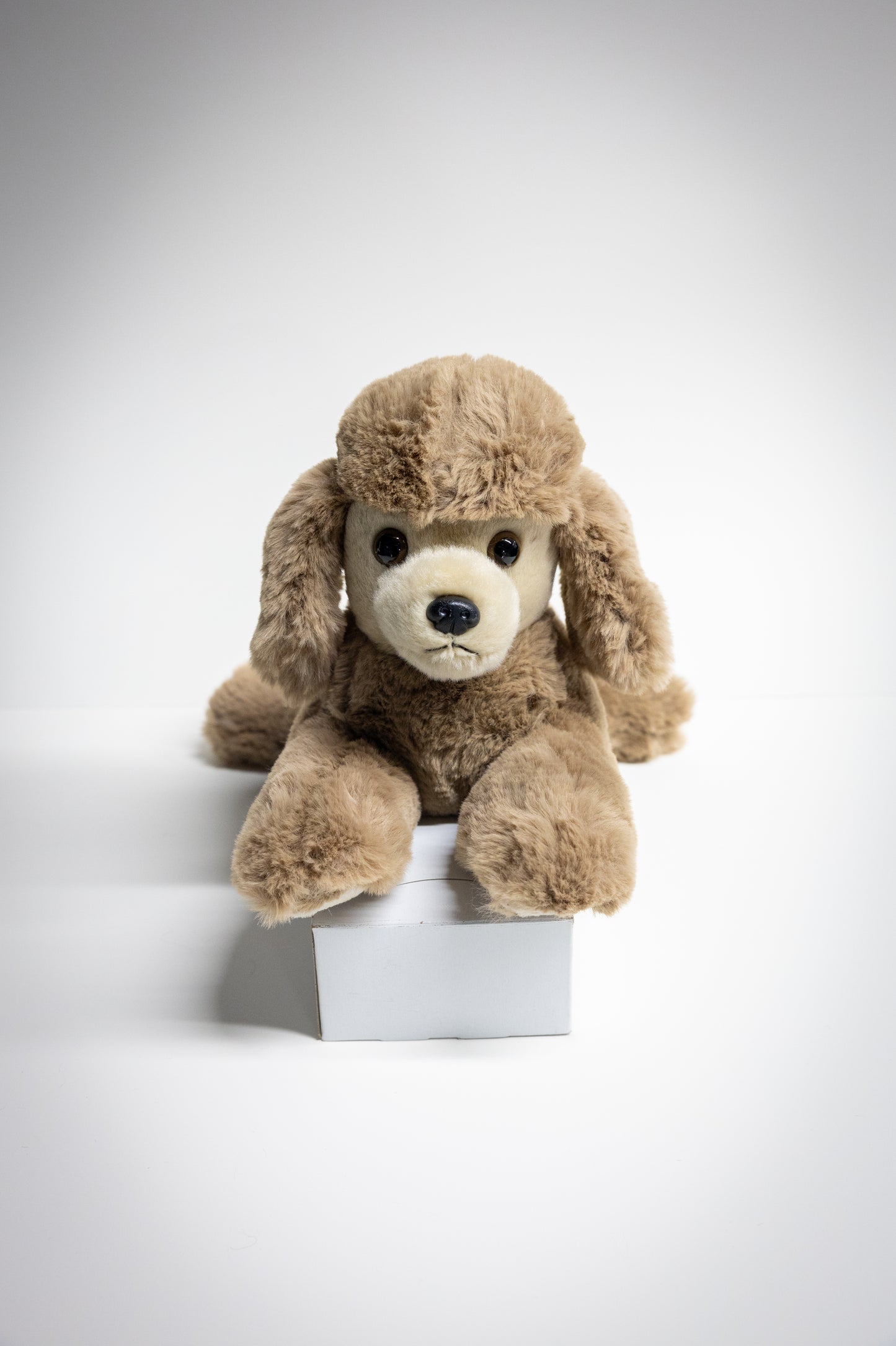 Dog & Cat Plush with Adoption Kit | Stuffed Animal Toy