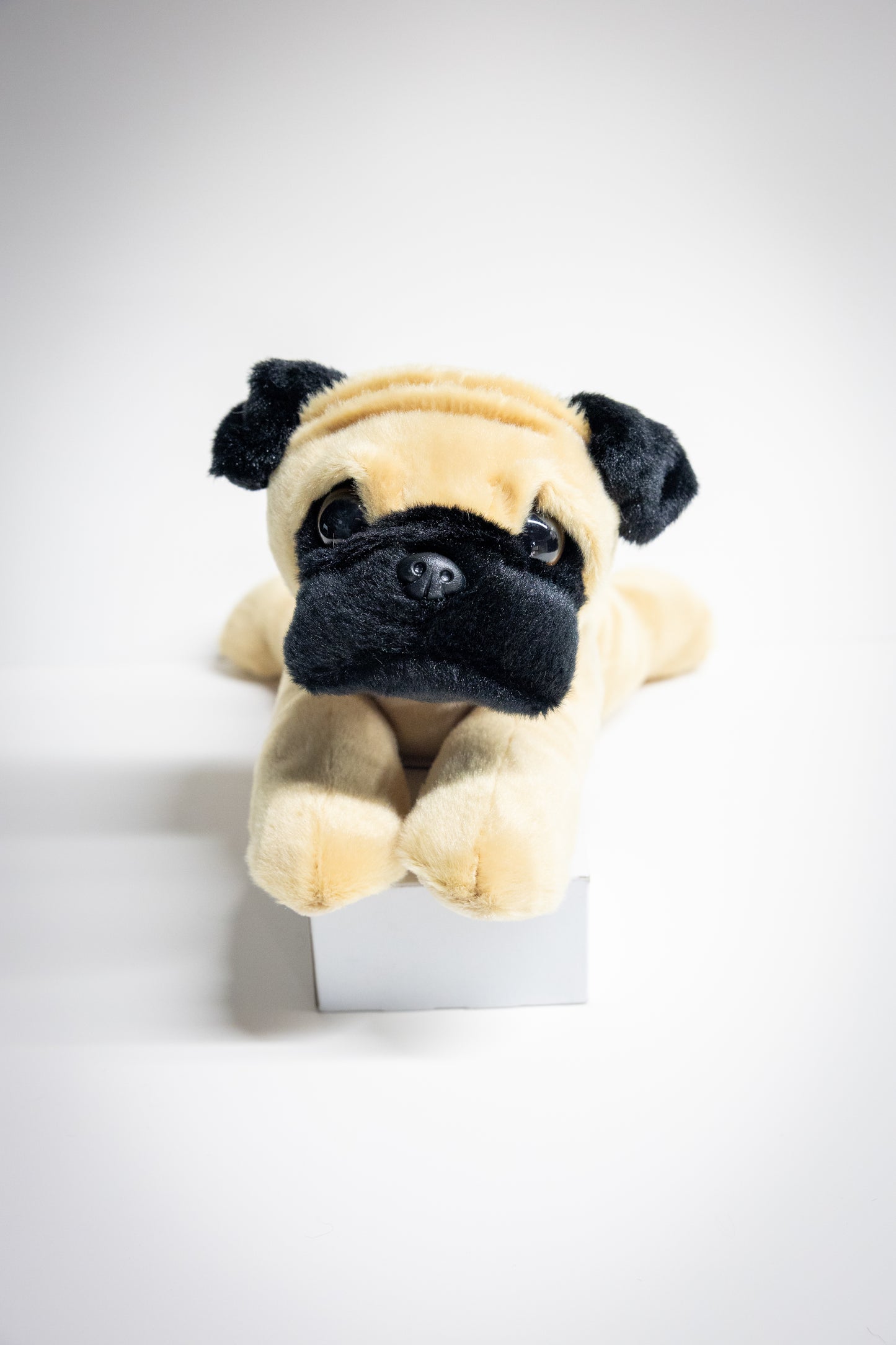 Dog & Cat Plush with Adoption Kit | Stuffed Animal Toy
