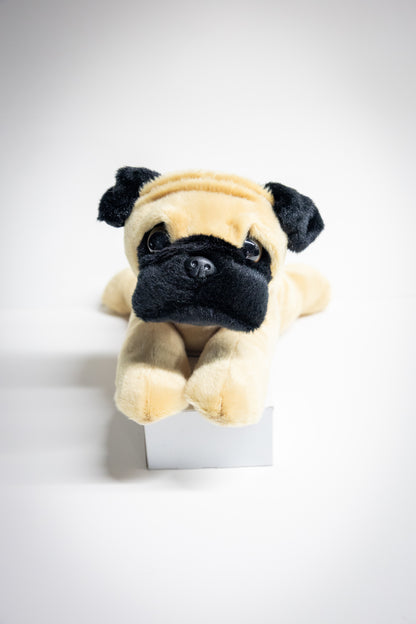 Dog & Cat Plush with Adoption Kit | Stuffed Animal Toy