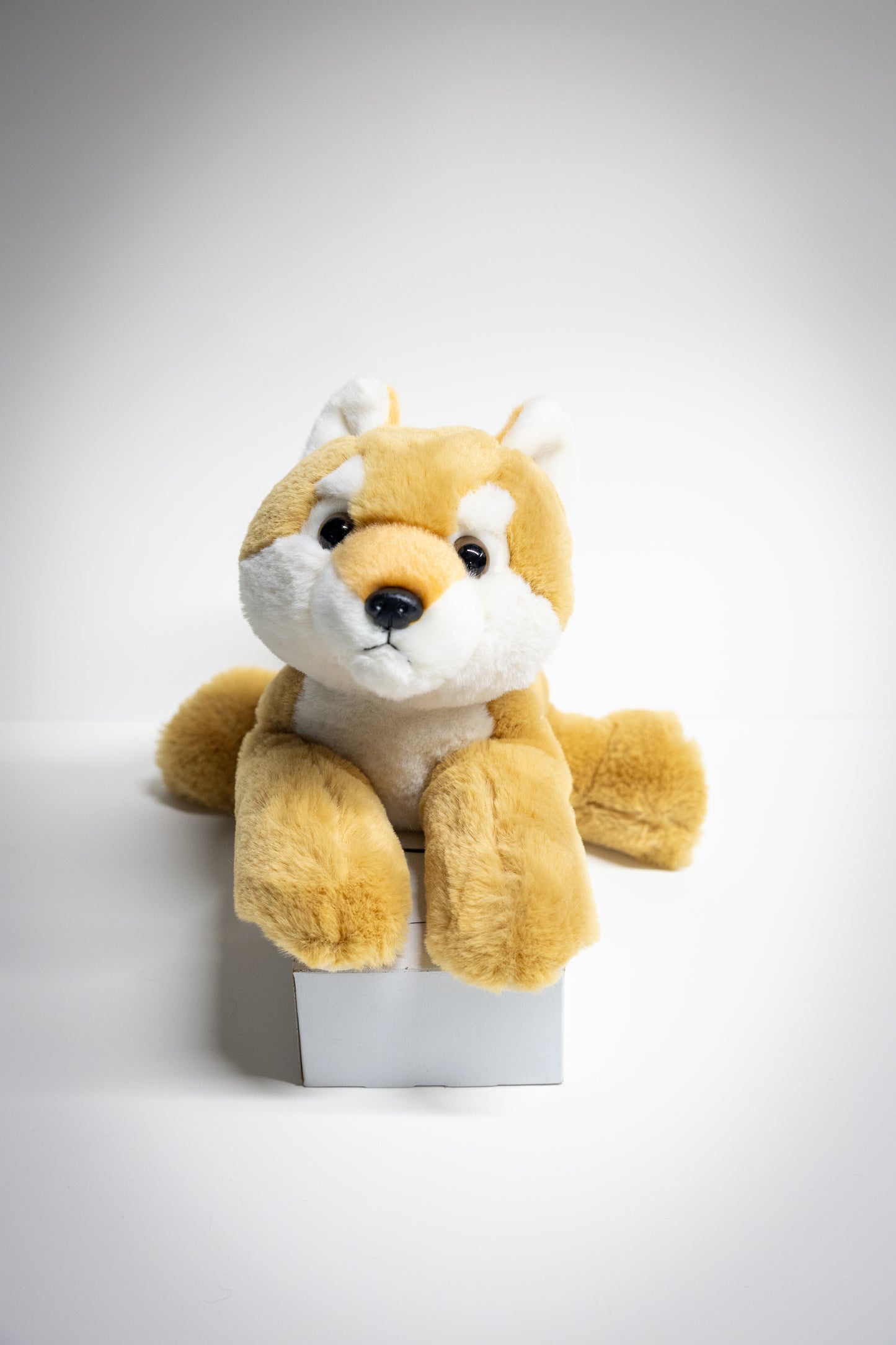 Dog & Cat Plush with Adoption Kit | Stuffed Animal Toy