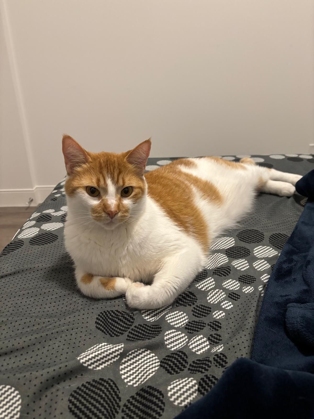 Sundae