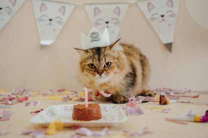Meow-gical Birthday Party