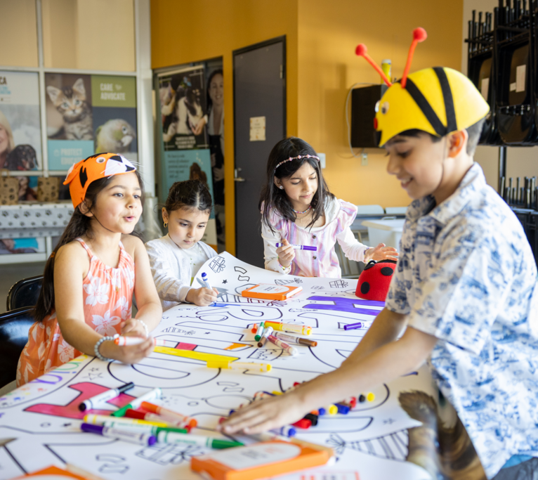 Sponsor a Birthday Party at the HBSPCA