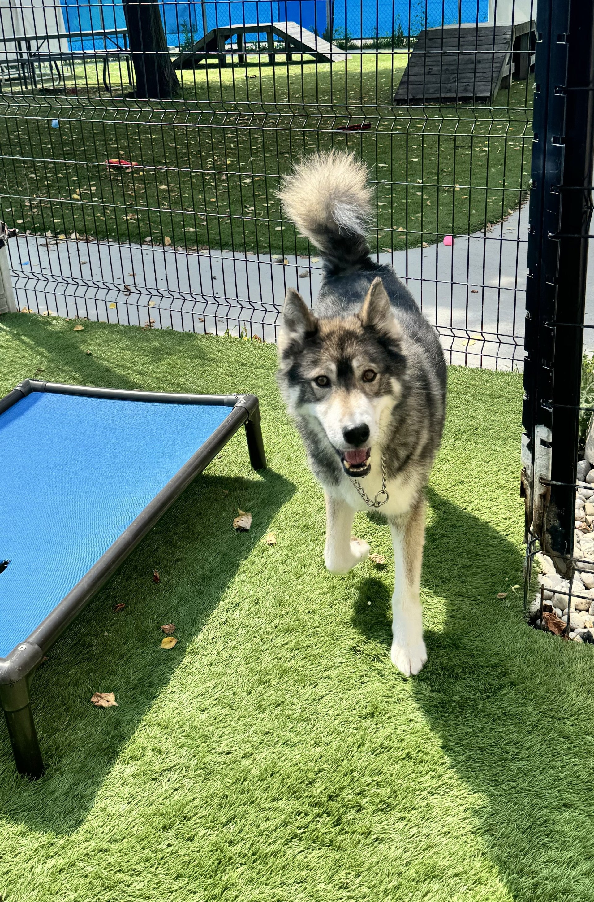 Shop HBSPCA